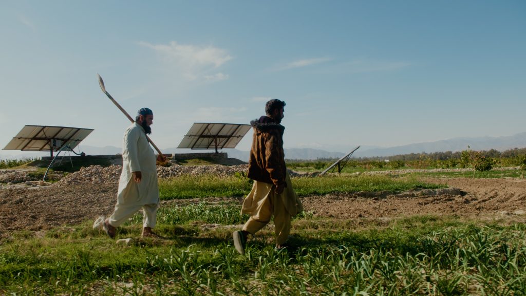 Taj Malook, known as the father of Afghan cricket, working on his plantation in Nangarhar, Afghanistan