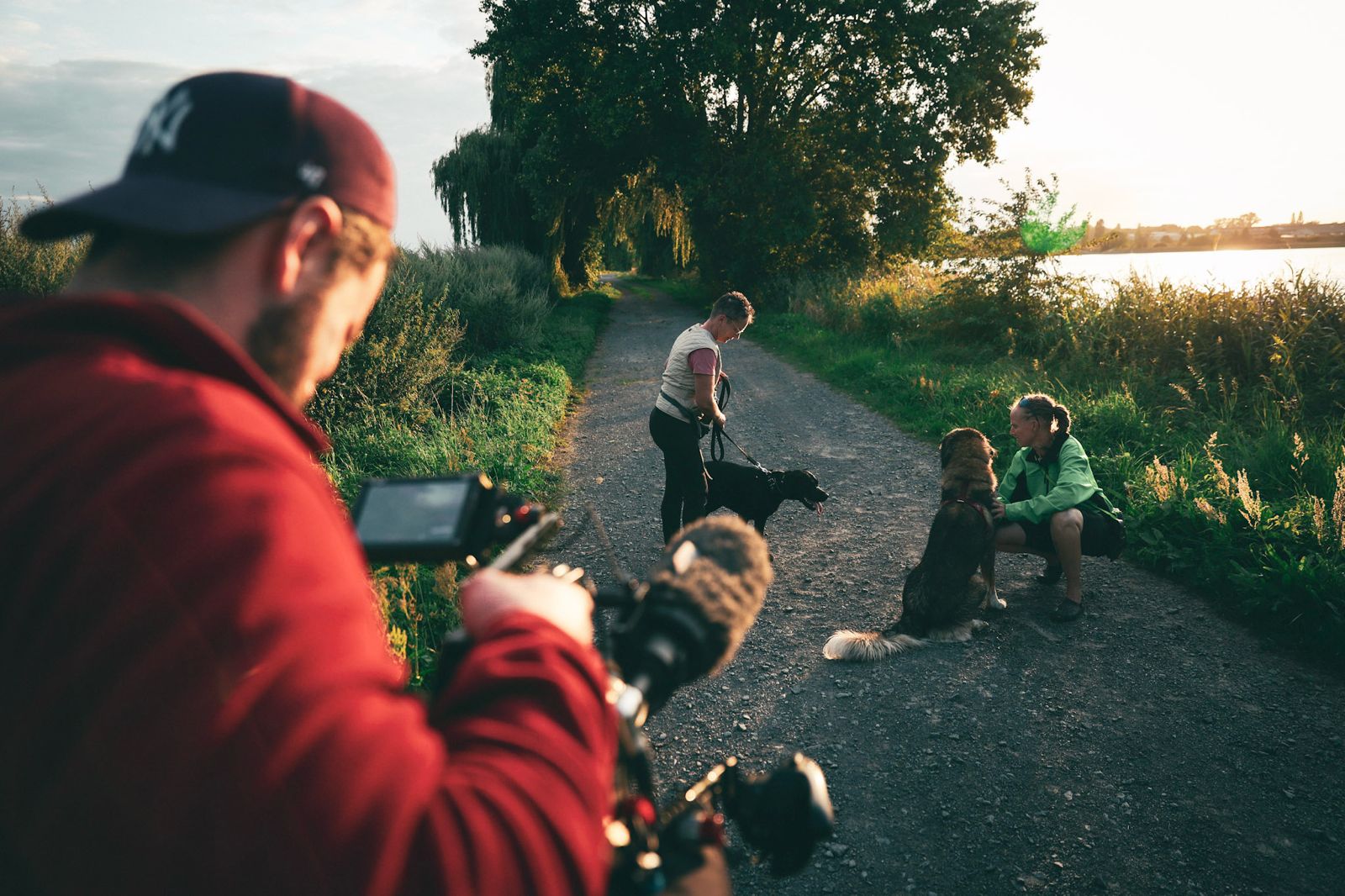 Behind-the-scenes shot of two protagonists interacting while walking their dogs by a lake, silhouetted against the setting sun.